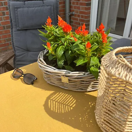 Muensterliebe Prázdninový dům *